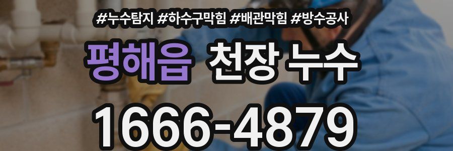 평해읍 천장 누수