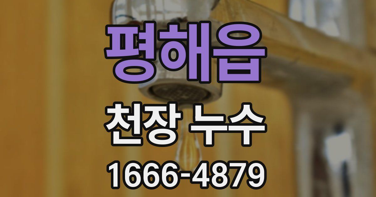 평해읍 천장 누수