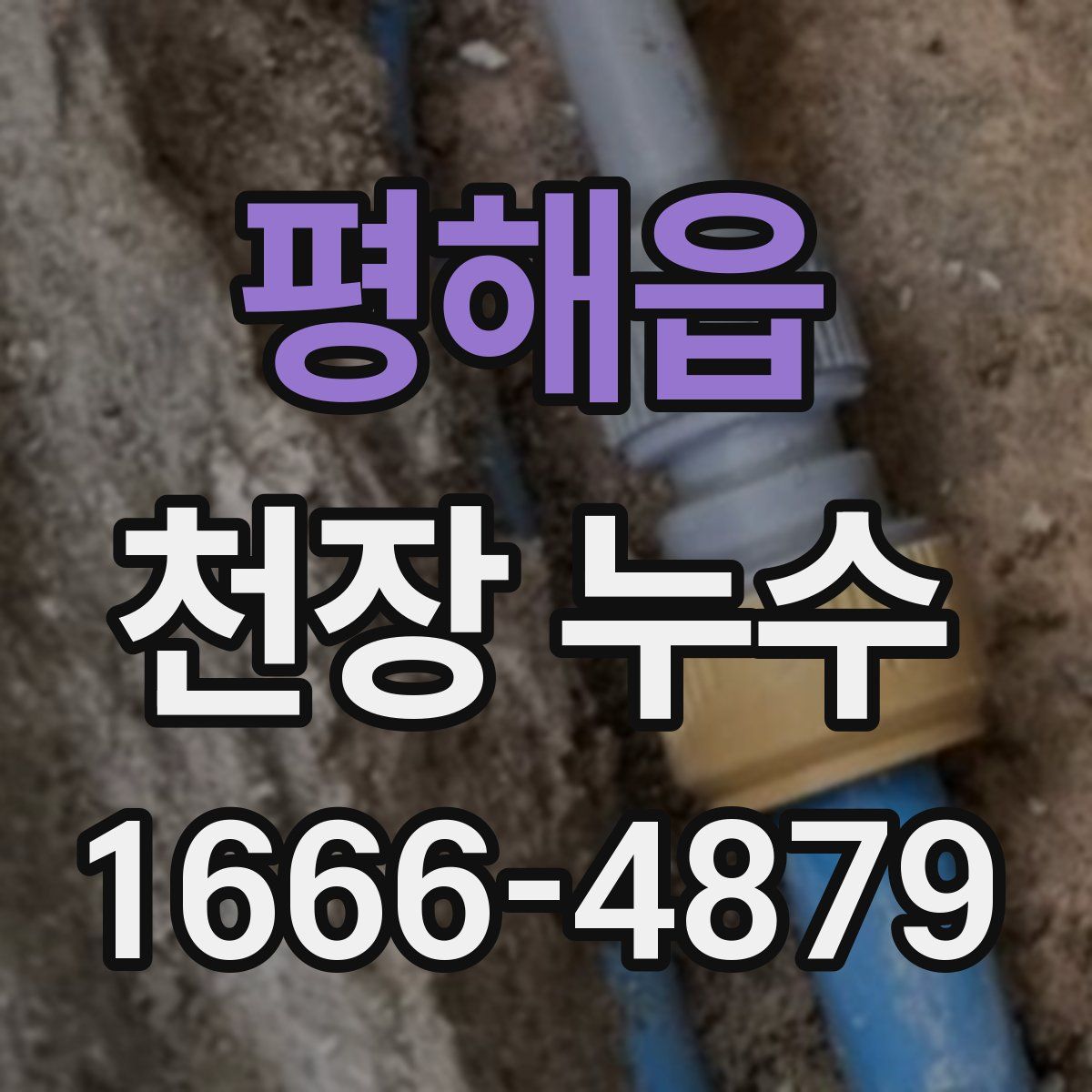 평해읍 천장 누수