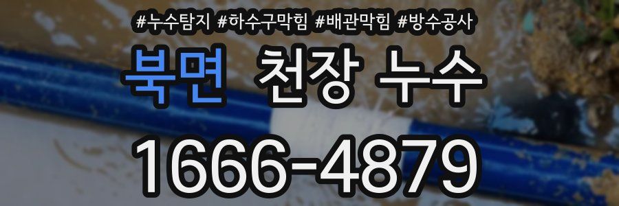 북면 천장 누수