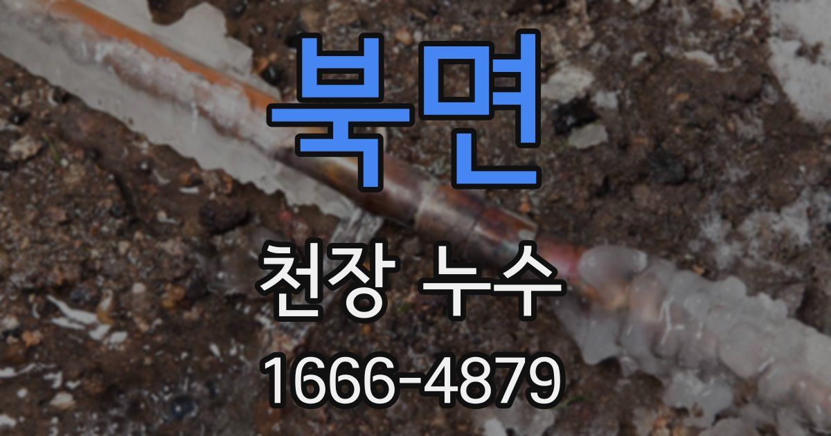 북면 천장 누수