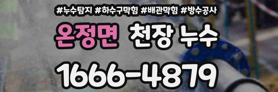 온정면 천장 누수