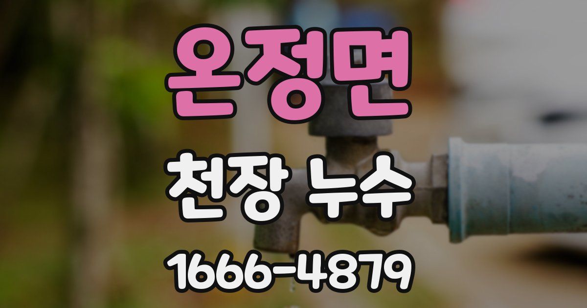 온정면 천장 누수