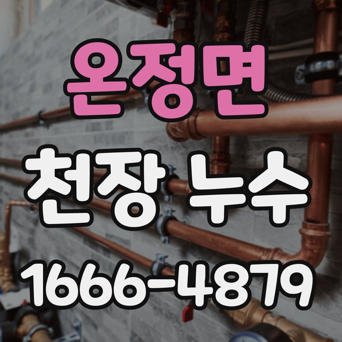 온정면 천장 누수
