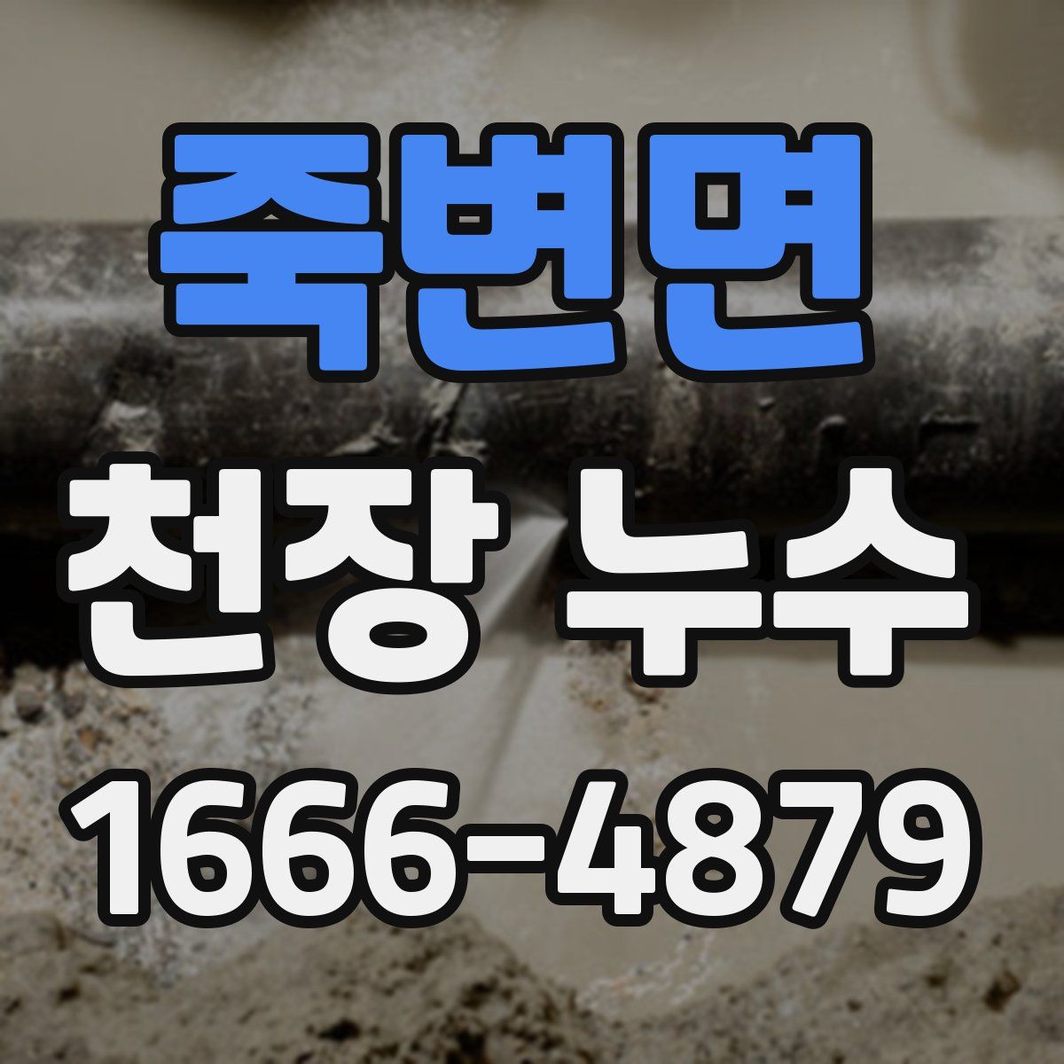 죽변면 천장 누수