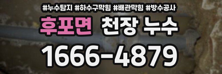 후포면 천장 누수