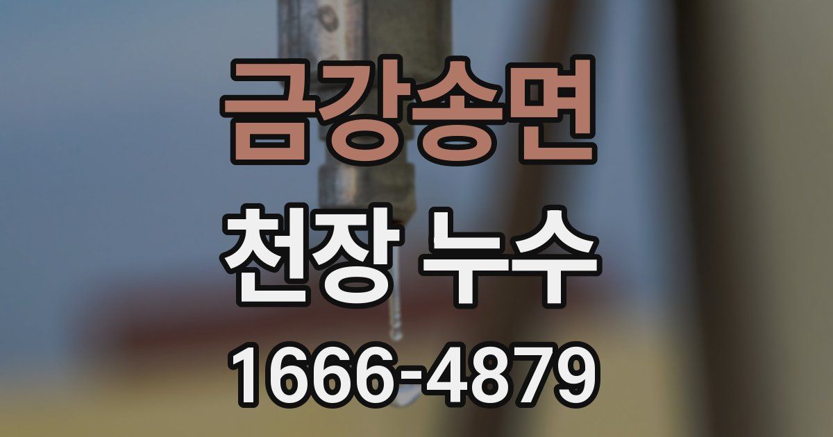 금강송면 천장 누수