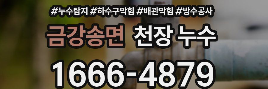 금강송면 천장 누수