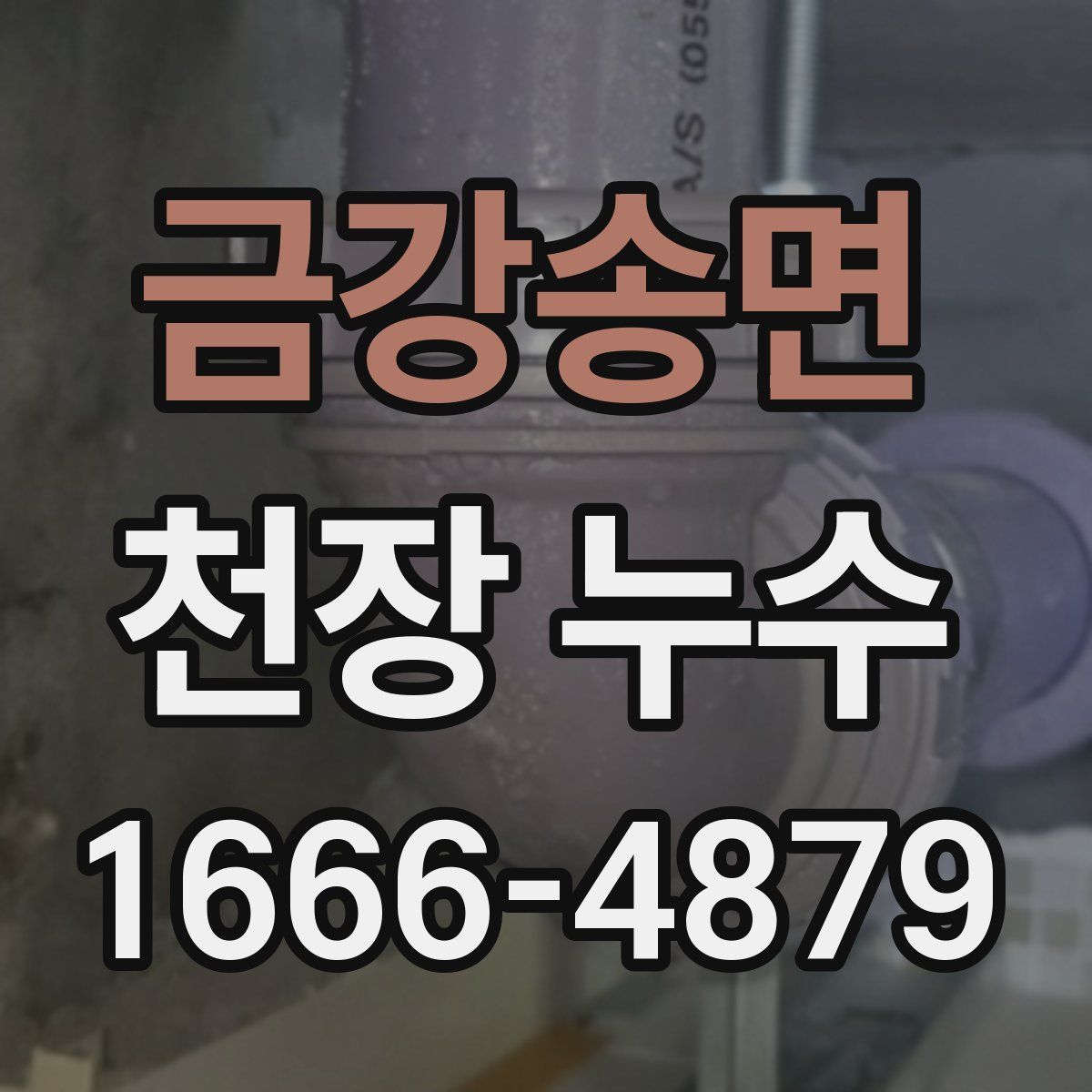 금강송면 천장 누수