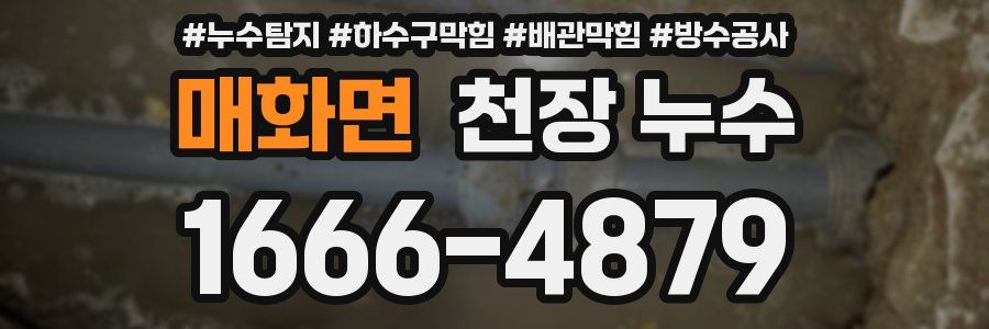 매화면 천장 누수