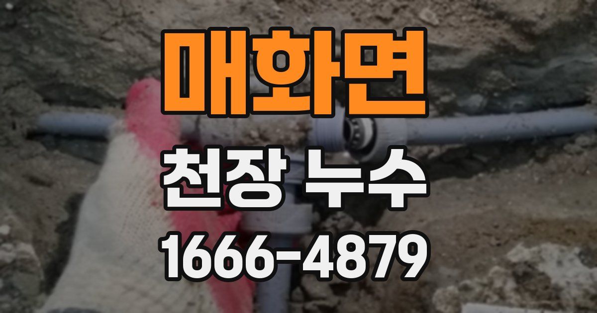 매화면 천장 누수