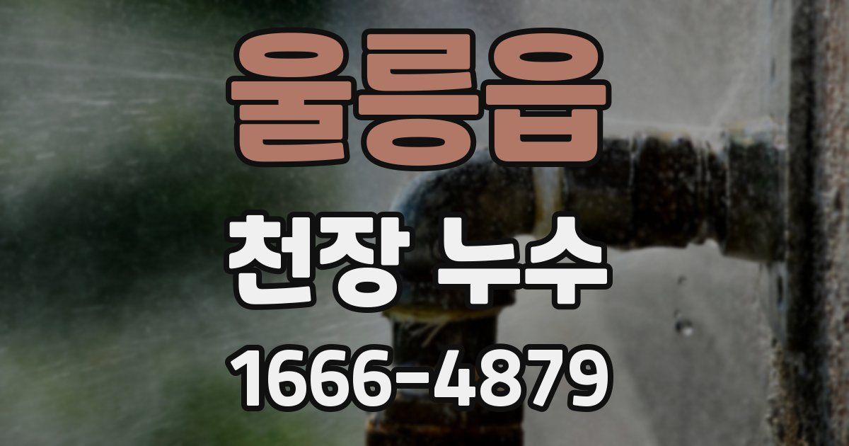울릉읍 천장 누수