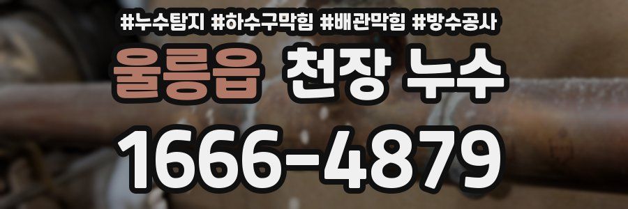 울릉읍 천장 누수