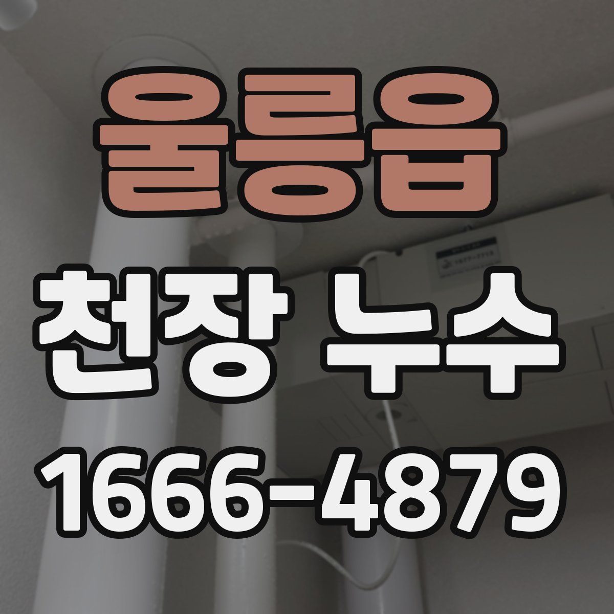 울릉읍 천장 누수