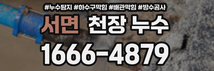 서면 천장 누수