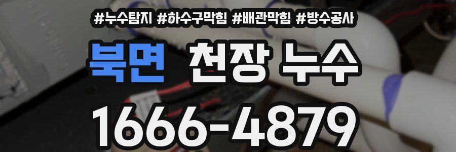 북면 천장 누수