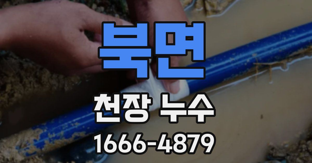 북면 천장 누수