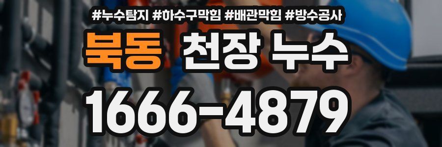 북동 천장 누수