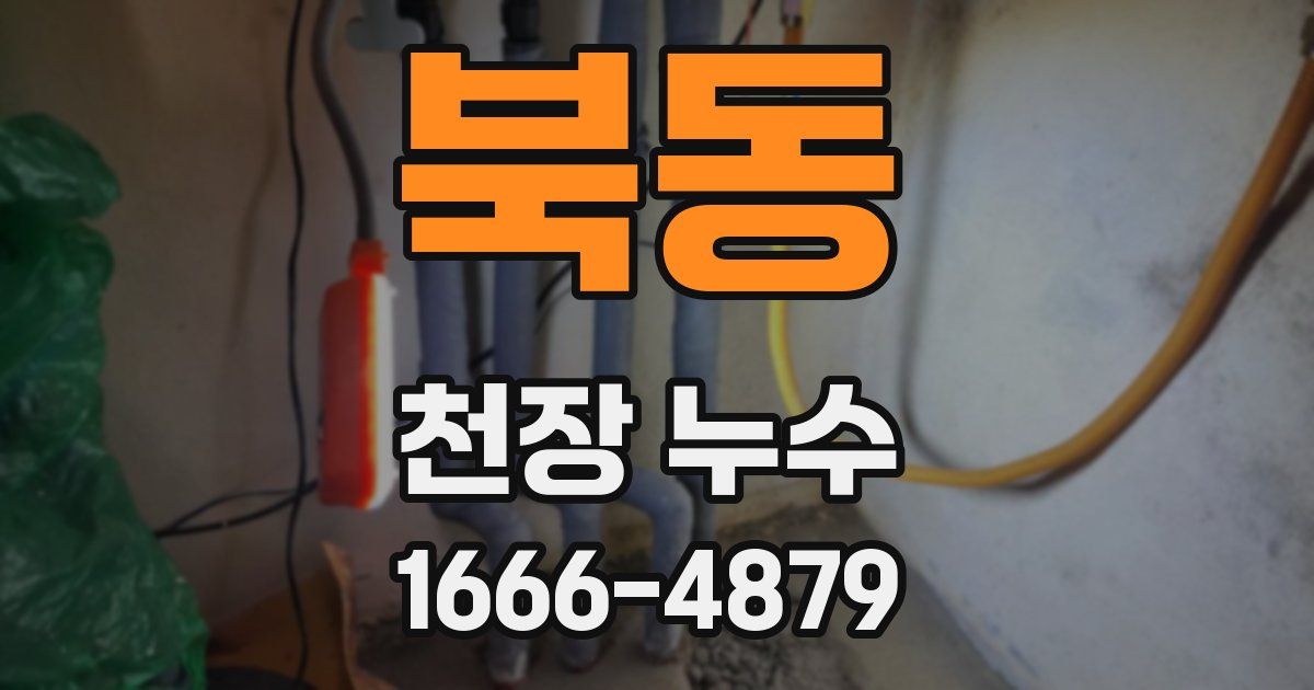 북동 천장 누수