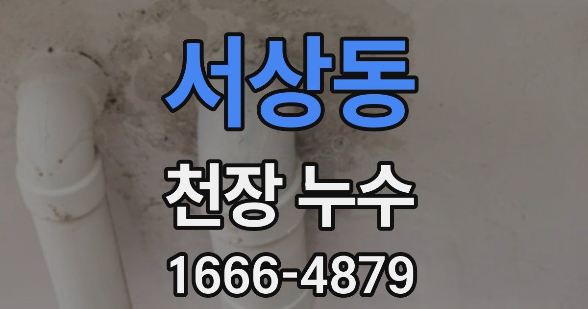 서상동 천장 누수