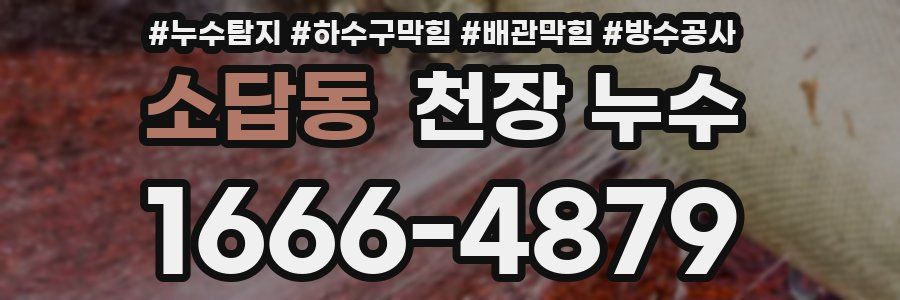 소답동 천장 누수