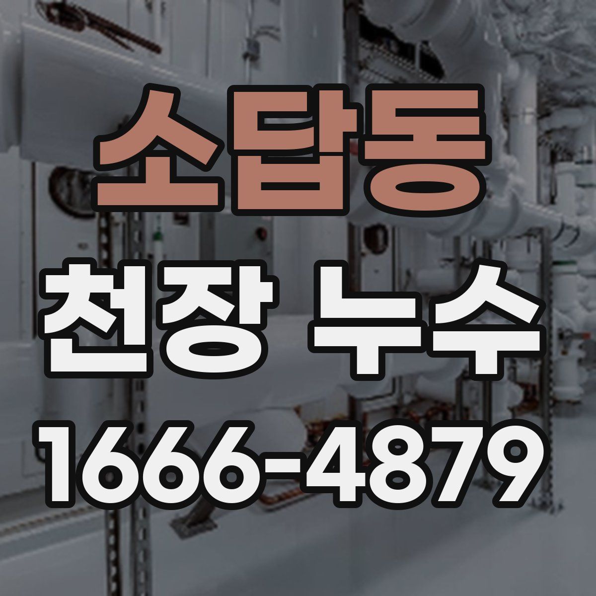 소답동 천장 누수