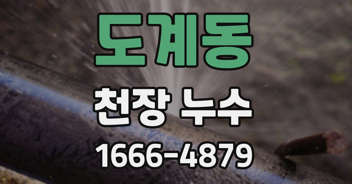 도계동 천장 누수