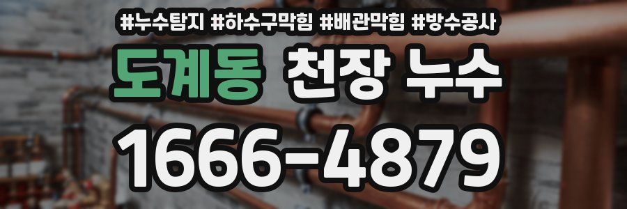 도계동 천장 누수
