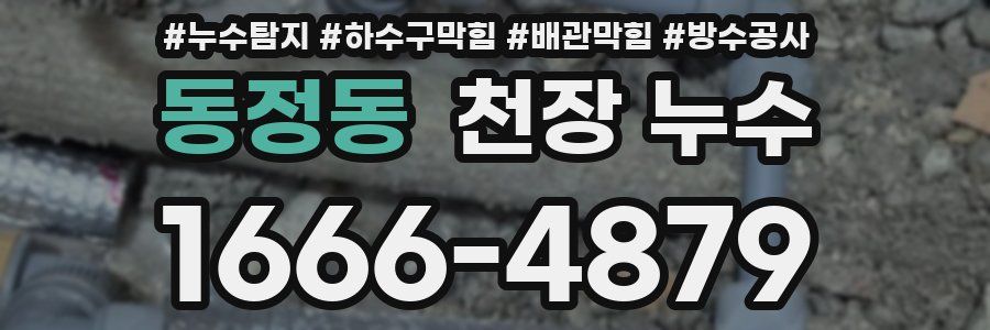 동정동 천장 누수