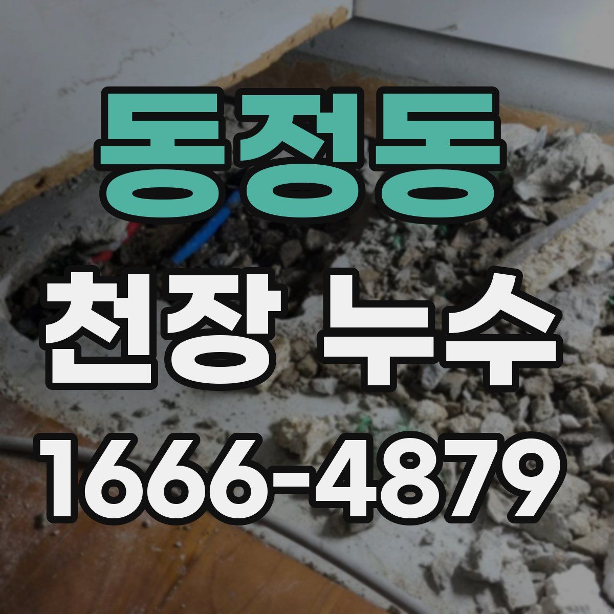 동정동 천장 누수