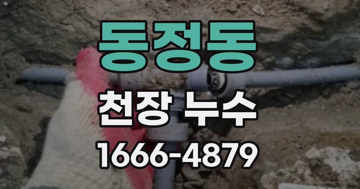 동정동 천장 누수