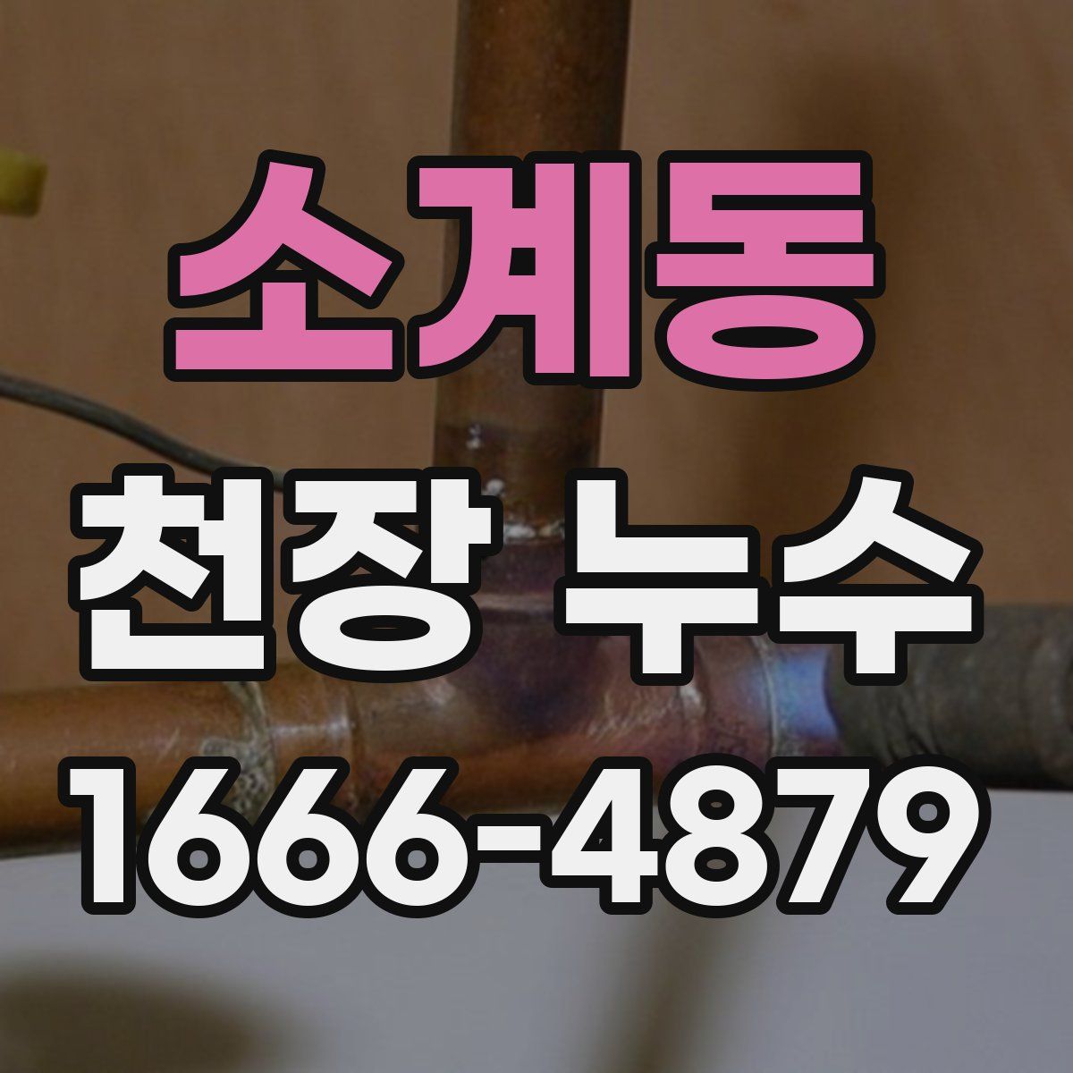 소계동 천장 누수