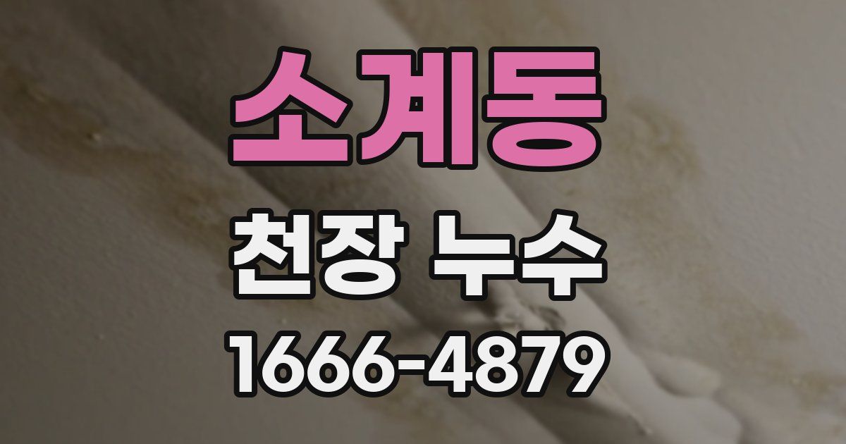 소계동 천장 누수