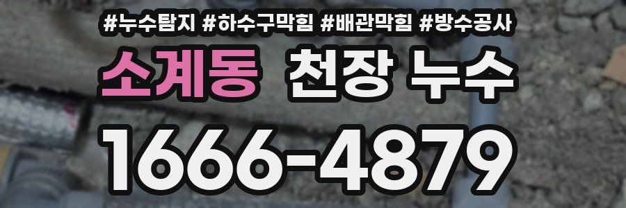 소계동 천장 누수