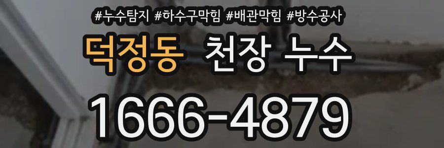 덕정동 천장 누수