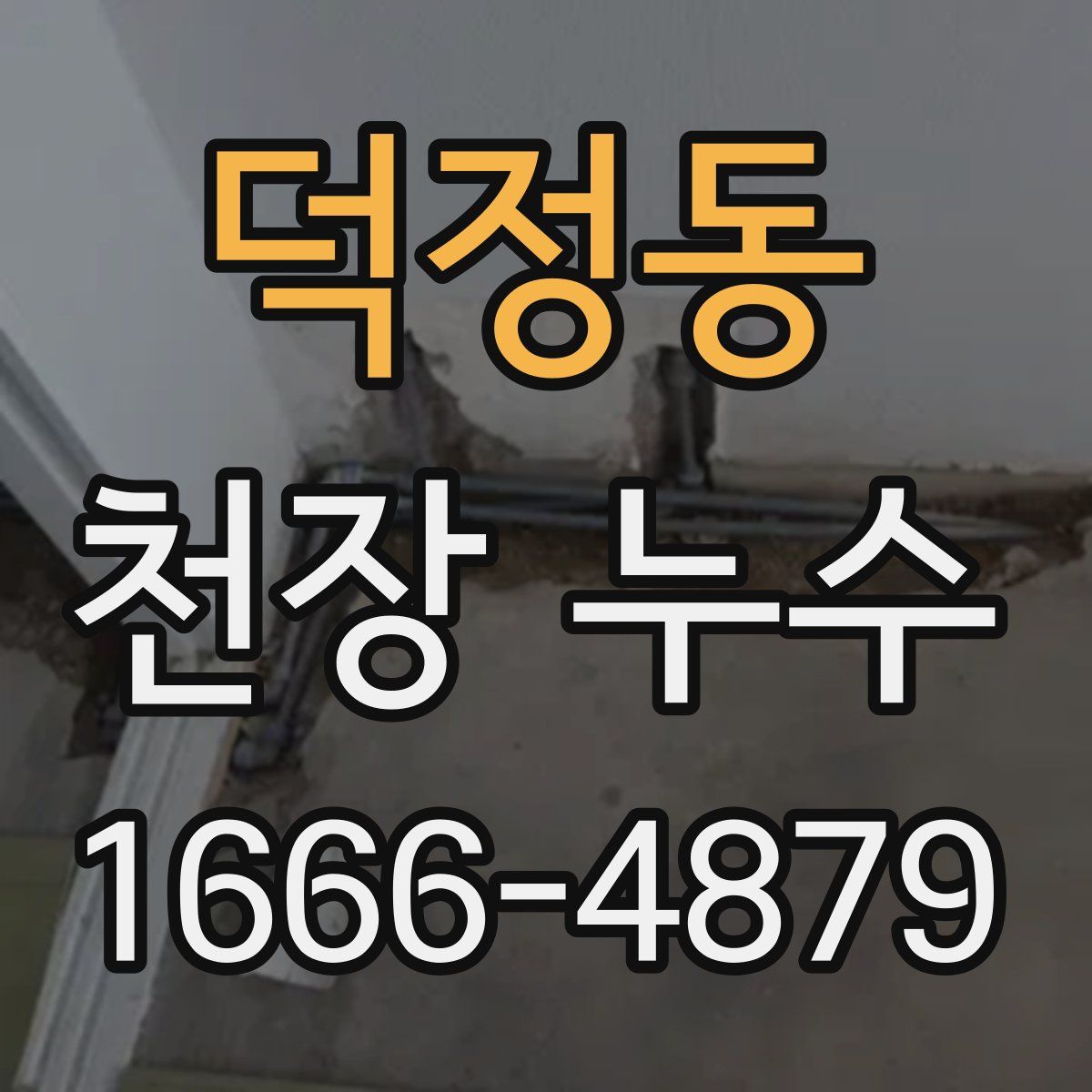 덕정동 천장 누수