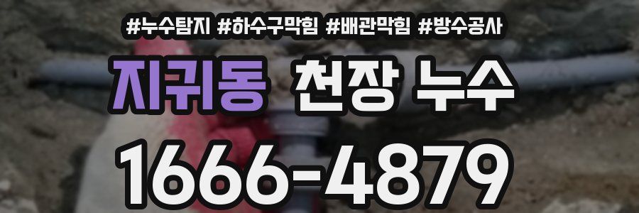 지귀동 천장 누수