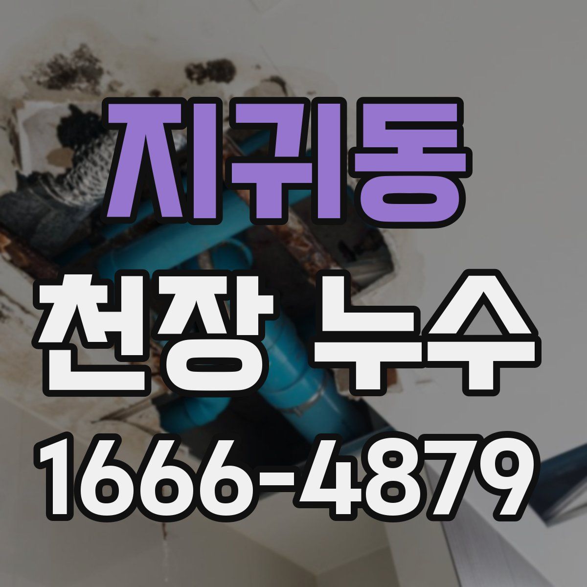 지귀동 천장 누수