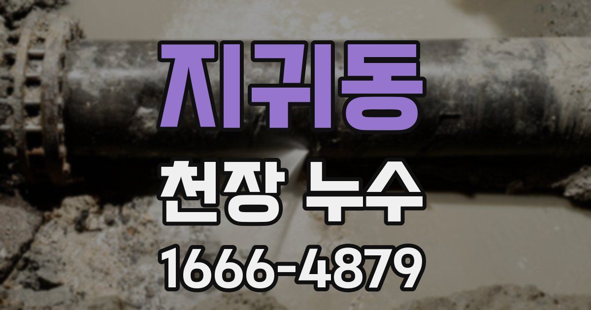 지귀동 천장 누수