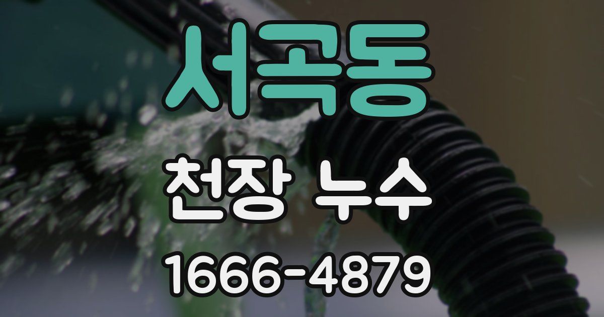 서곡동 천장 누수
