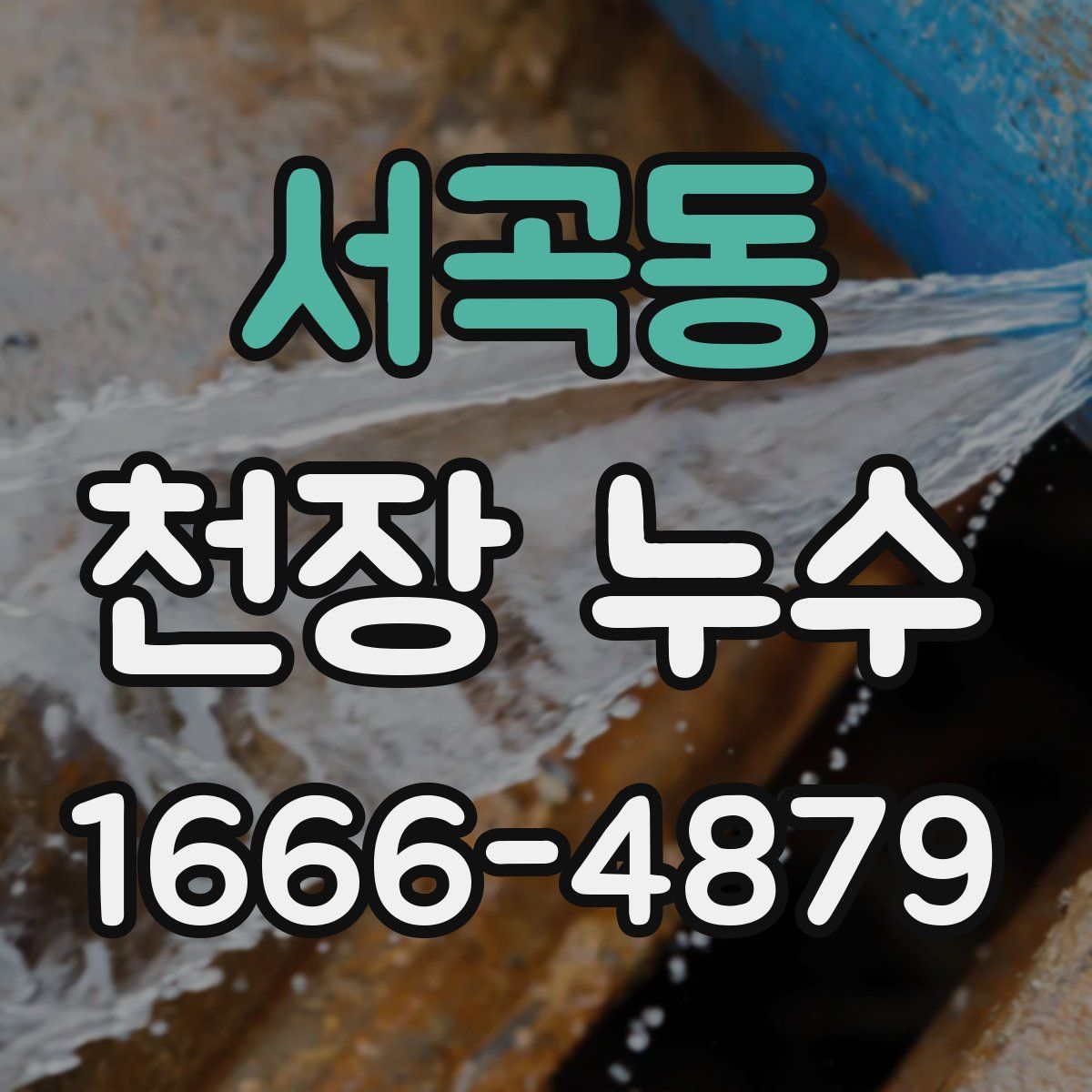 서곡동 천장 누수
