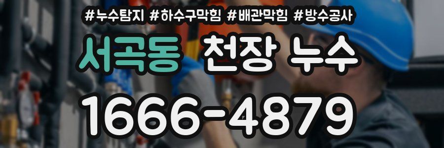 서곡동 천장 누수