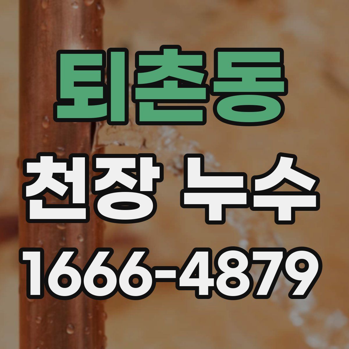 퇴촌동 천장 누수