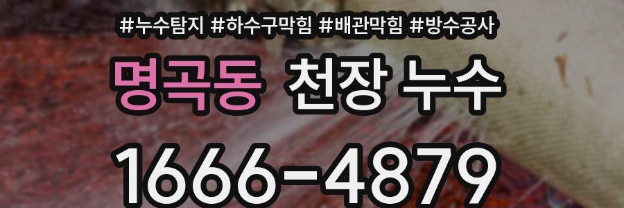 명곡동 천장 누수