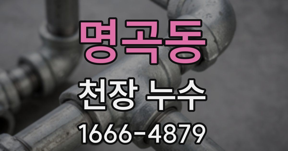 명곡동 천장 누수
