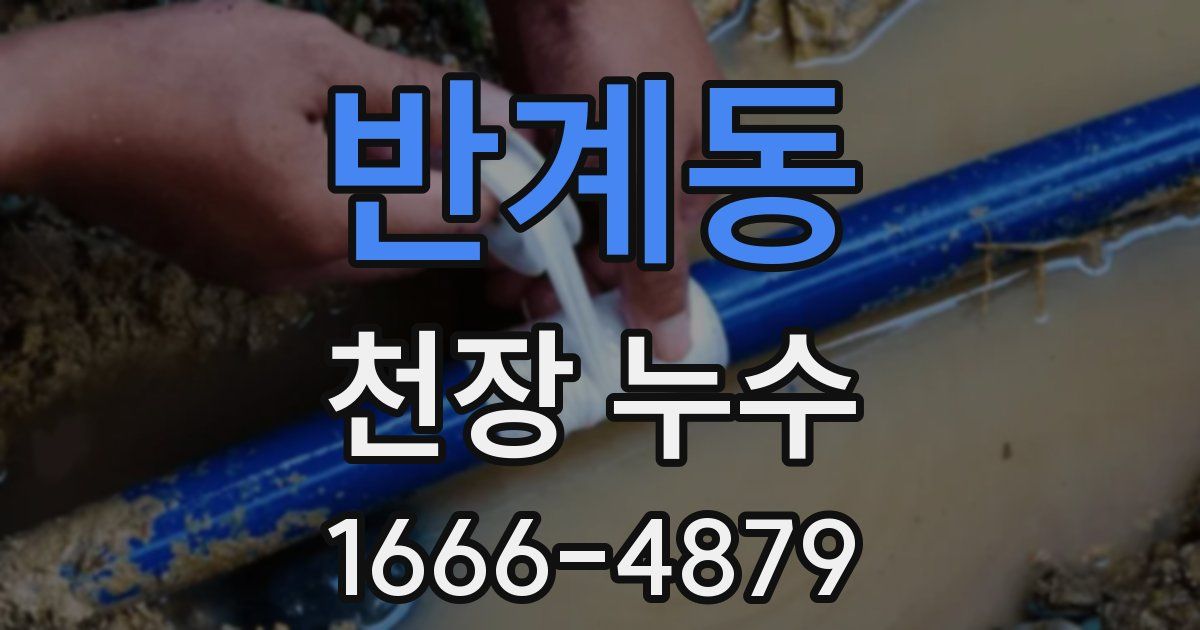반계동 천장 누수