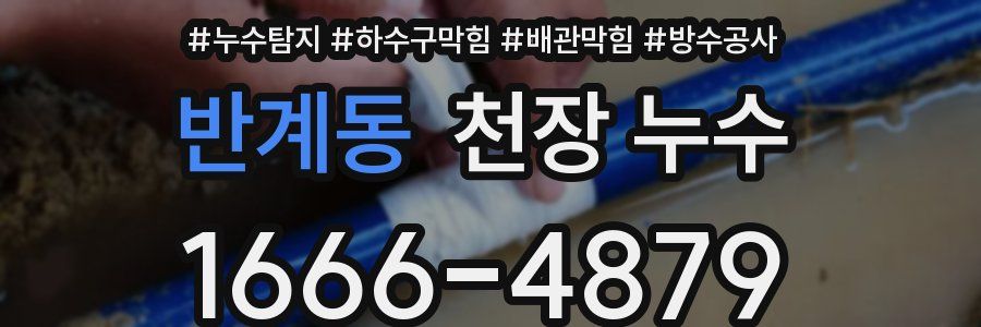 반계동 천장 누수