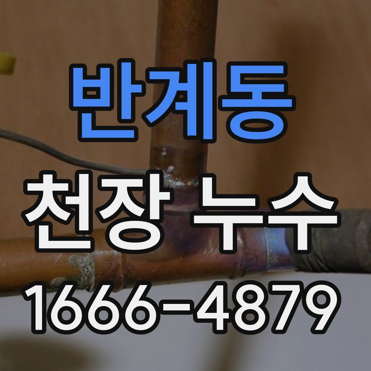 반계동 천장 누수