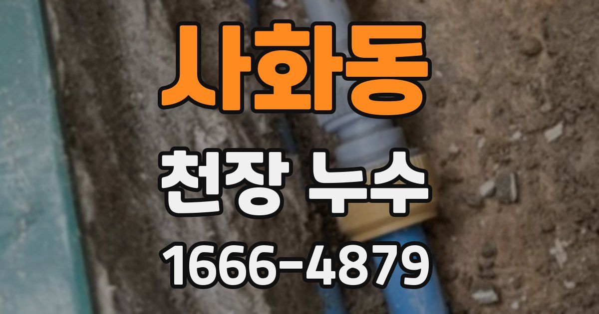 사화동 천장 누수