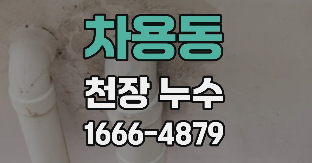 차용동 천장 누수